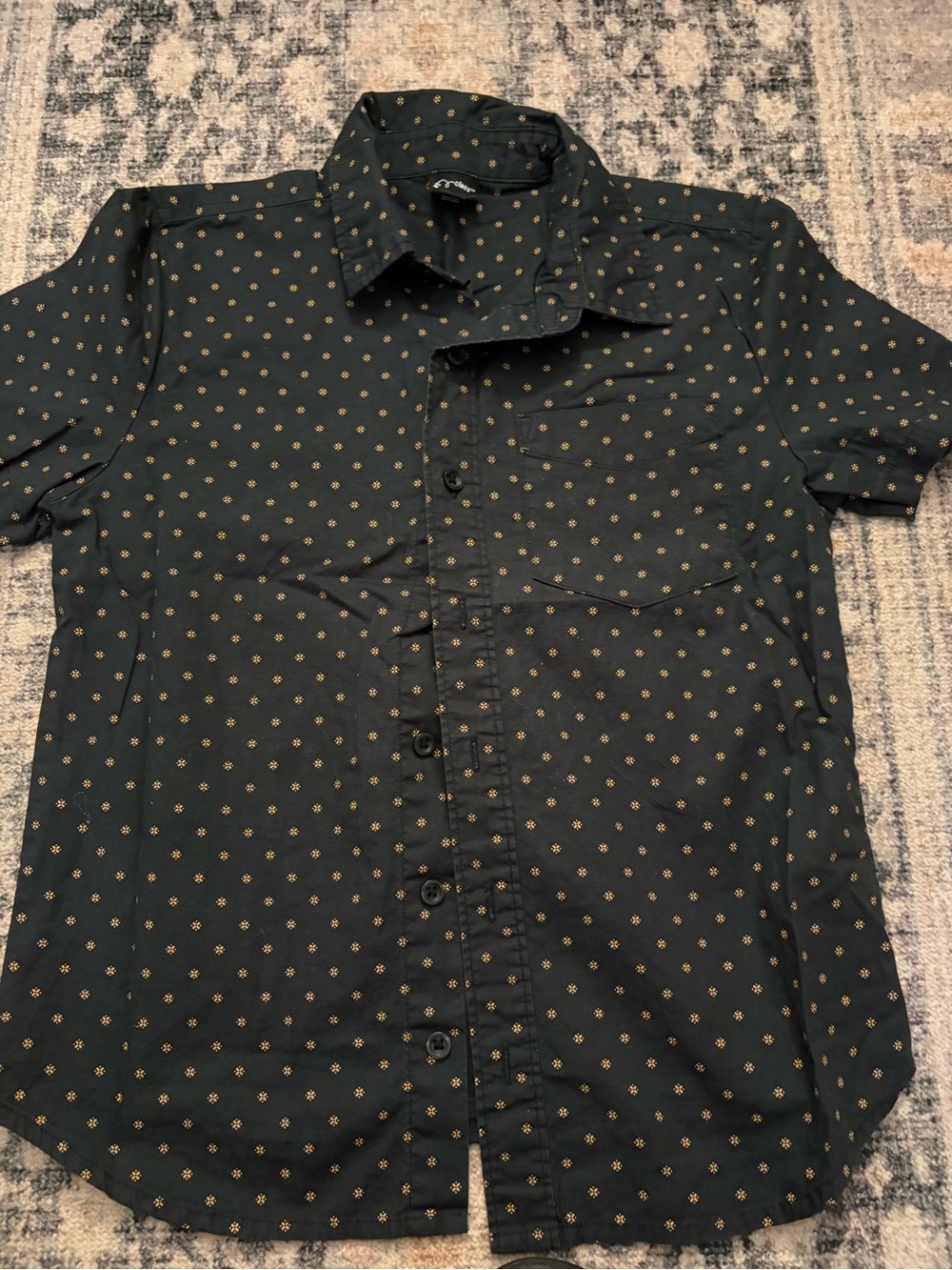 Boys art class Button Down